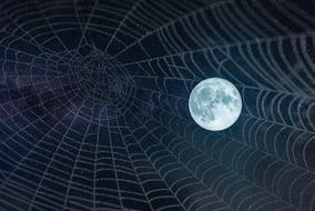 full Moon and Web