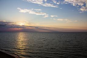 Sea Summer