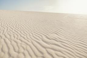 Sand Desert Wasteland