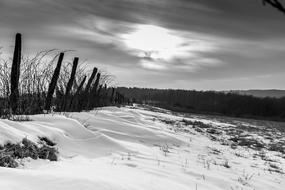 Winter Nature Landscape