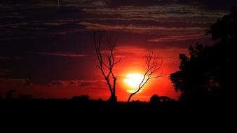 red Sunset Dawn Dusk