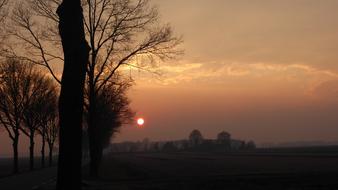 Mysterious Sunset In Forest