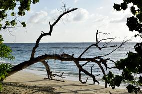 Body Of Water Nature Sea