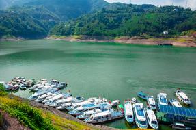 Colorful ships at the pier ,among the beautiful green trees on the shore