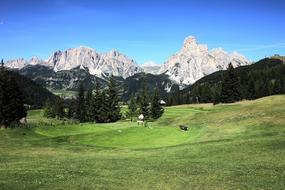 Nature Mountain green Grass