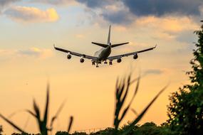 Airplane flight at sunset Sky