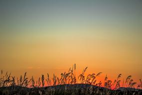 Sol Sunset Sun
