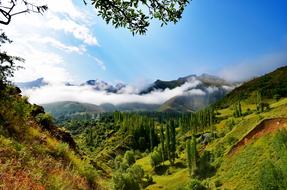 Beautiful and colorful landscape of KaÃ§kars with plants, in Turkey, in sunlight