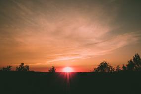 landscape of pink Sunset Sky