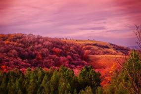 Serbia Hills Mountains landscape