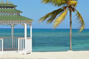 pavilion and coconut palm on beach at sea, digital art