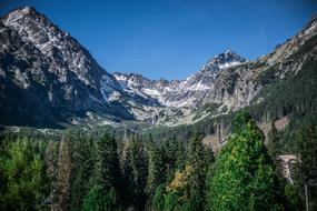 Panorama Landscape of Mountains
