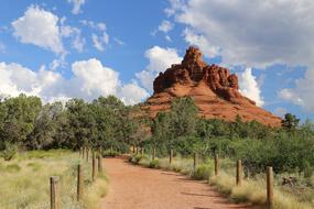 footpath in the scenic nature of arizona