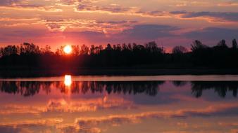 Trees Lake at Sunset