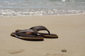 Vacations Summer Beach