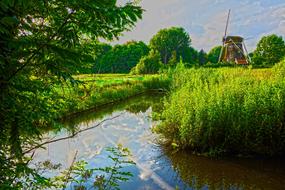 landscape of Mill Dutch Riekermolen