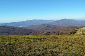 green meadows on the background of hills in nature