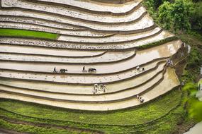 panoramic view of Blind Stretch Comb