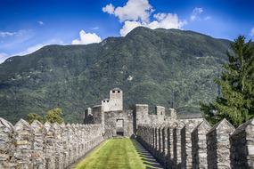 landscape of Mountains Tourist Visitor