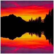 silhouette of trees near lake with reflection of red sunset sky