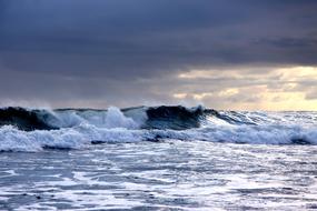 Waters Sea Surfing