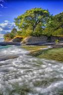 Landscape of Tree by the Water