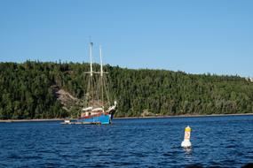 sailing ship on the sea against the background of a green forest