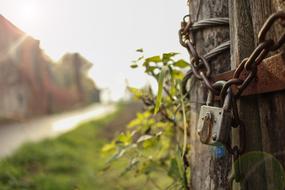 Close-up of the metal padlock on the wooden construction, among the colorful plants in sunlight