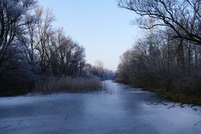 river in ice among trees in winter twilight