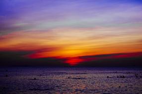 sea Nature Water at Sunset