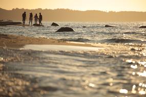 friends on the seaside in the evening