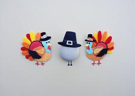 Thanksgiving Turkey Holiday crafts