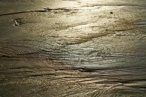 Beach Sand Light
