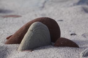 Helgoland Stones on Sea beach