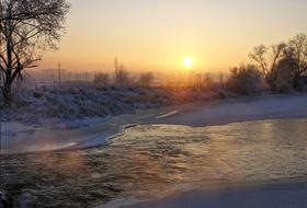 trees and bushes near the river in winter