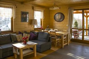 stylish living room in a wooden house
