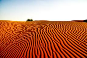 Desert Landscape Nature