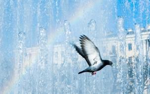 Fountain Rainbow Sky The Colors Of