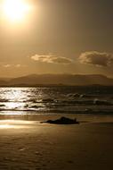 Beach Surf Water at Sunset