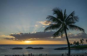 Beautiful beach of Oahu, Hawaii, with palm trees, at colorful and beautiful sunset with clouds