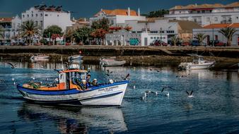 Colorful boats and flying birds, near the beautiful and colorful coast of Tavira, Algarve, Portugal