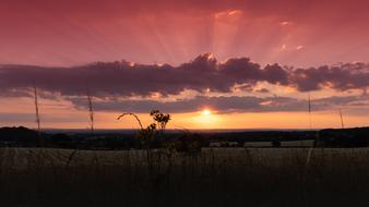 landscape of Separated By Commasunset