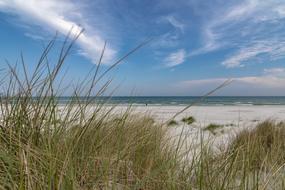 Beach Dunes Water
