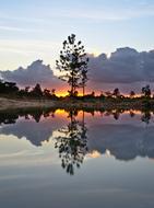 lake with mirror reflection of trees at sunset