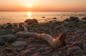 Sea Seashore Sunset