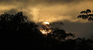 sun setting behind trees at dusk