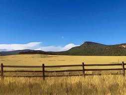 scenic mountain meadow blue sky