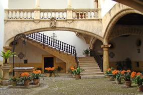 potted flowers in patio of old house, spain, Majorca