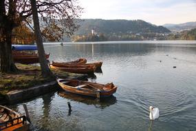 Body Of Water Lake Wood