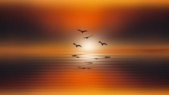 silhouette of a flock of birds on a dramatic background
